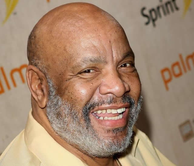 the-fresh-prince-of-bel-air-s-uncle-phil-dies-at-65-the-chronicle