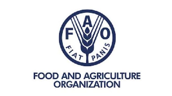 FAO warns African states over avian influenza