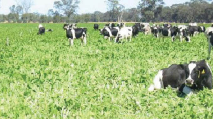 Farmers urged to grow fodder for livestock