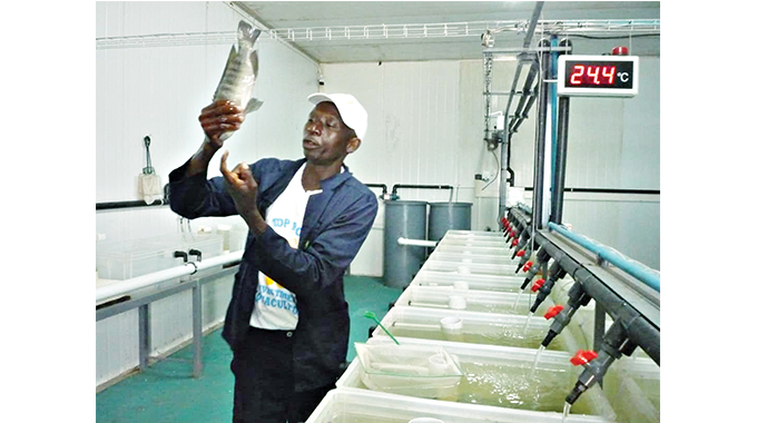 Zhovhe Estate targets 1 000 tonnes of fish annually