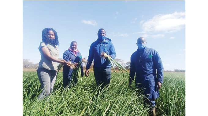 Onion farmer makes waves