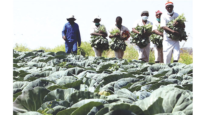 Anju Farm Prison inmates full of life, healthy