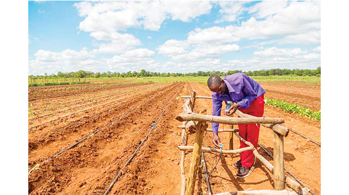 Small scale farmers adapt to challenging conditions