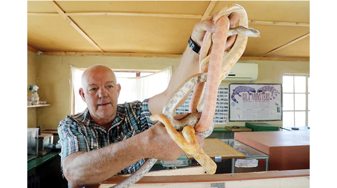 Zimbabwe’s largest snake collector and his anaconda