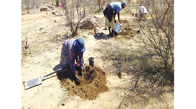 Sifanjani villagers restore environment