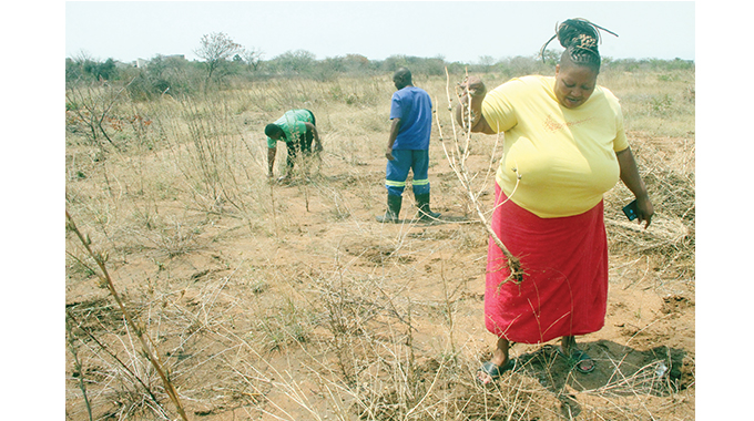 Urban farmers hopeful