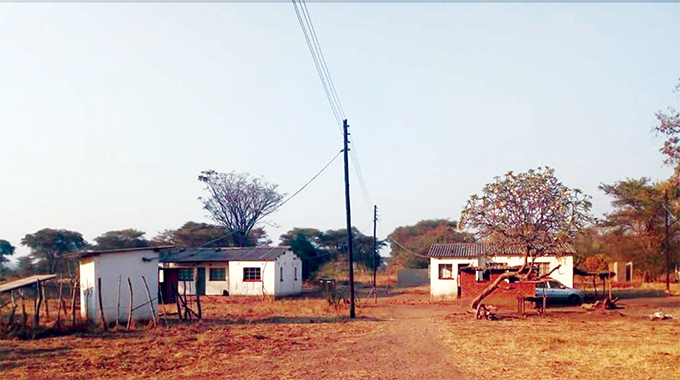 Where wildlife produces medical doctors