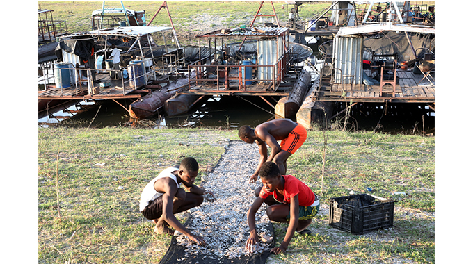 Climate change dampens Binga kapenta fishing