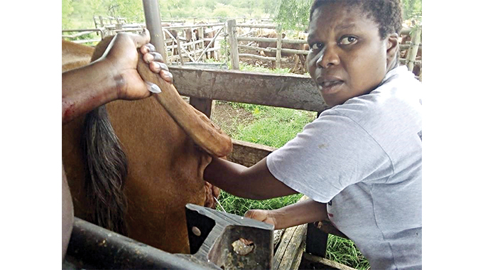 Farmers’ officers receive artificial insemination training