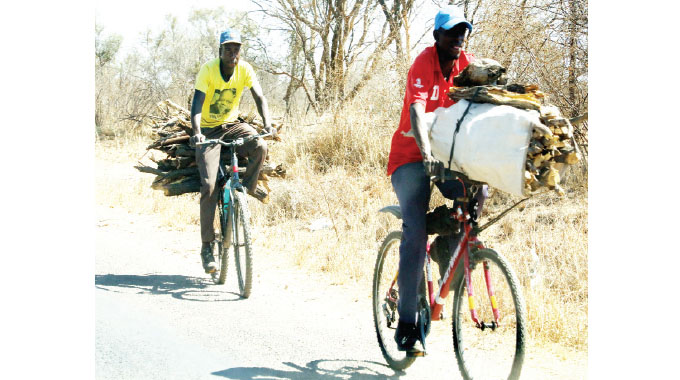 10 years no electricity…Victoria Falls residents decimate Chamabondo National Park