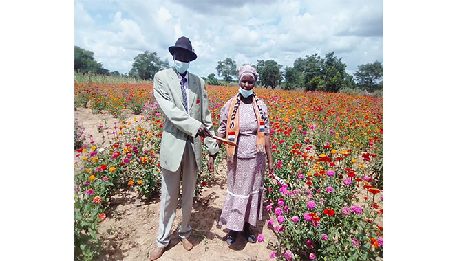 Sembewule develops into horticulture greenbelt