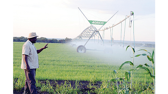 Winter wheat production tips