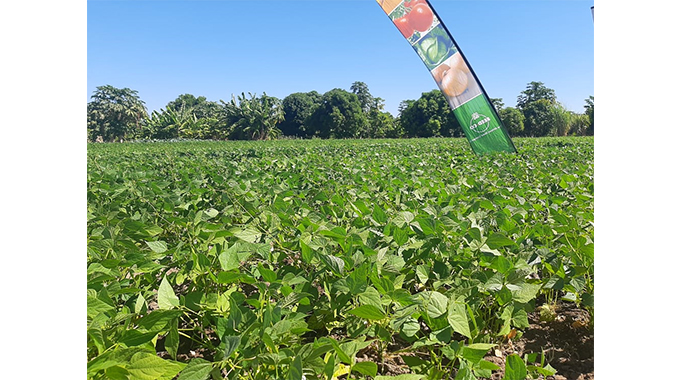 Boost for Lukosi Irrigation Scheme