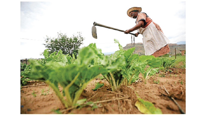 Sadc agric sector beyond Covid-19