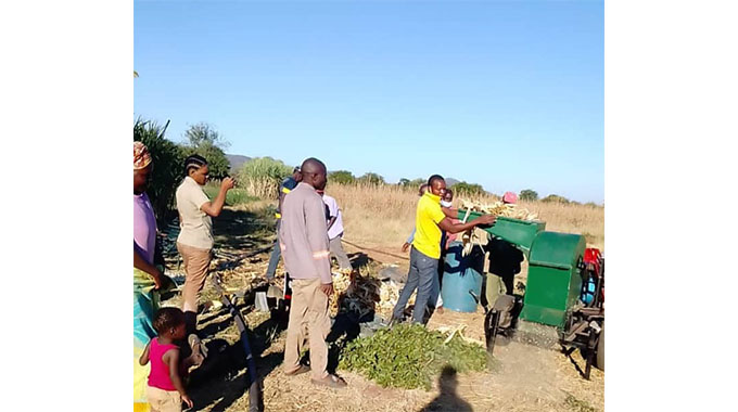 Beitbridge rolls out stockfeed formulation initiative